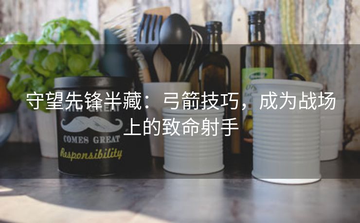 守望先锋半藏：弓箭技巧，成为战场上的致命射手