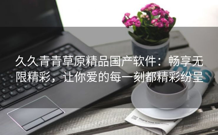 久久青青草原精品国产软件：畅享无限精彩，让你爱的每一刻都精彩纷呈