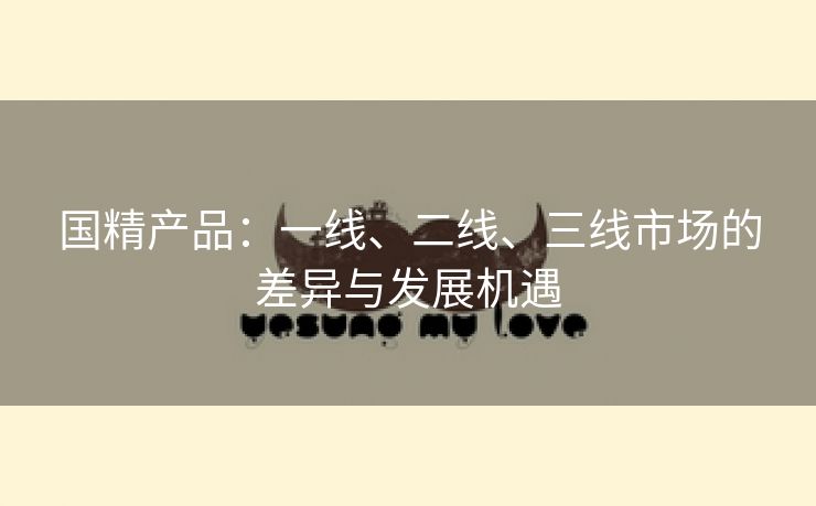 国精产品：一线、二线、三线市场的差异与发展机遇