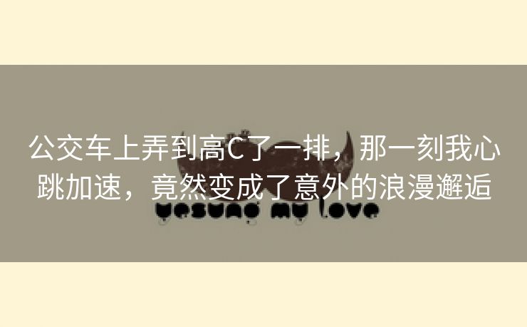 公交车上弄到高C了一排，那一刻我心跳加速，竟然变成了意外的浪漫邂逅
