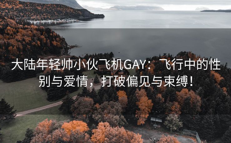 大陆年轻帅小伙飞机GAY：飞行中的性别与爱情，打破偏见与束缚！
