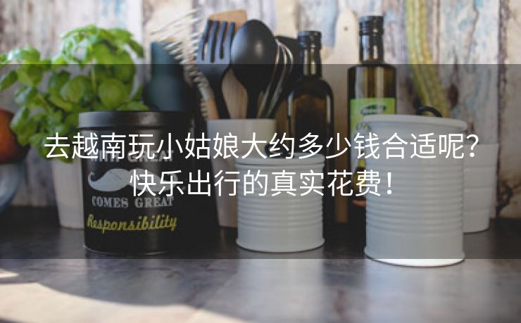 去越南玩小姑娘大约多少钱合适呢？快乐出行的真实花费！