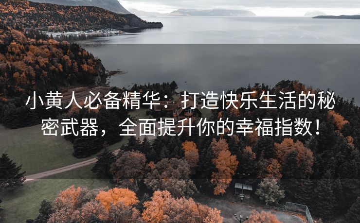 小黄人必备精华：打造快乐生活的秘密武器，全面提升你的幸福指数！