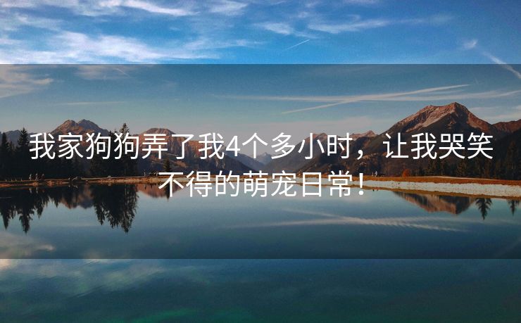 我家狗狗弄了我4个多小时，让我哭笑不得的萌宠日常！
