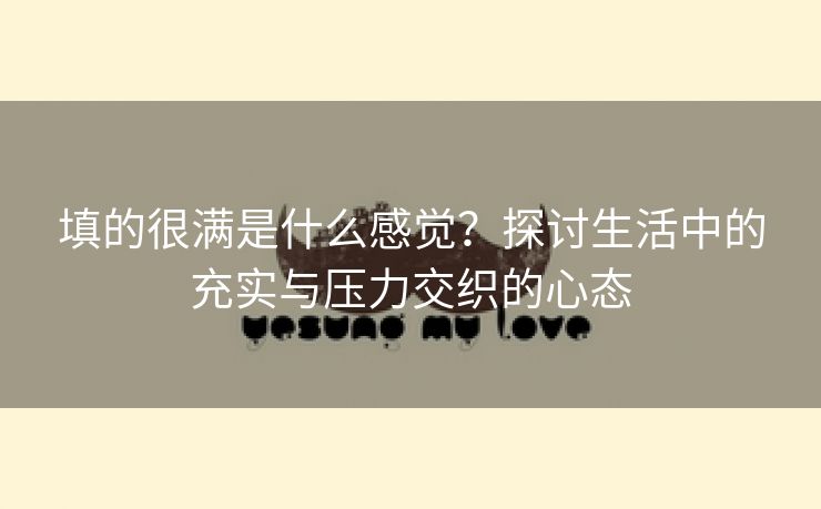 填的很满是什么感觉？探讨生活中的充实与压力交织的心态