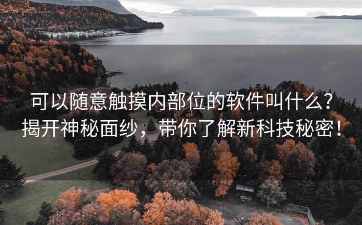 可以随意触摸内部位的软件叫什么？揭开神秘面纱，带你了解新科技秘密！