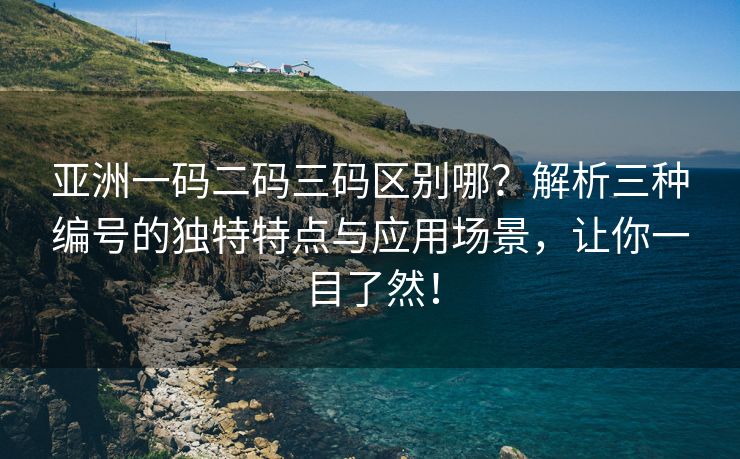 亚洲一码二码三码区别哪？解析三种编号的独特特点与应用场景，让你一目了然！