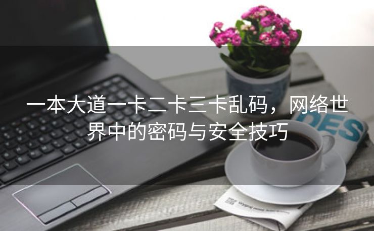 一本大道一卡二卡三卡乱码，网络世界中的密码与安全技巧