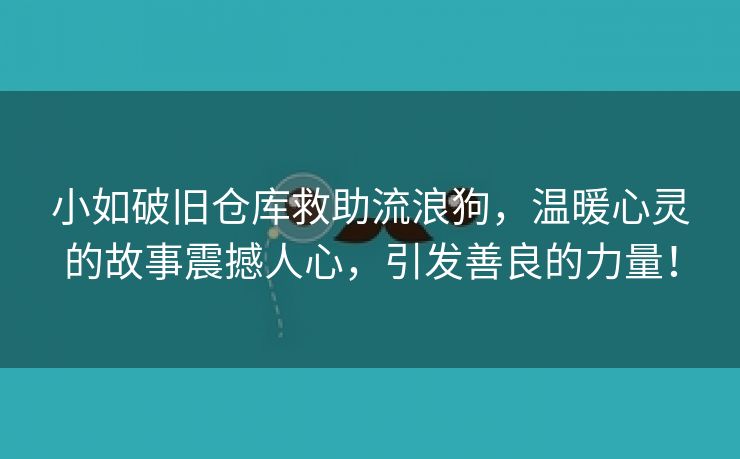 小如破旧仓库救助流浪狗，温暖心灵的故事震撼人心，引发善良的力量！