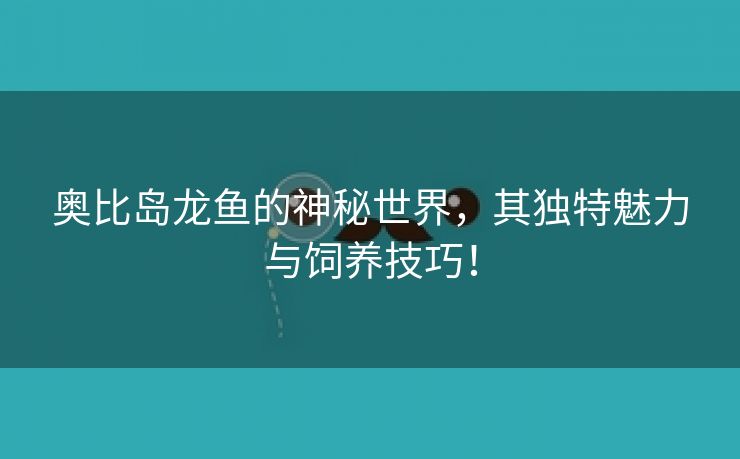 奥比岛龙鱼的神秘世界，其独特魅力与饲养技巧！