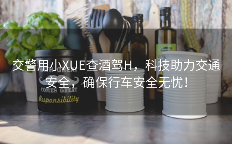 交警用小XUE查酒驾H，科技助力交通安全，确保行车安全无忧！