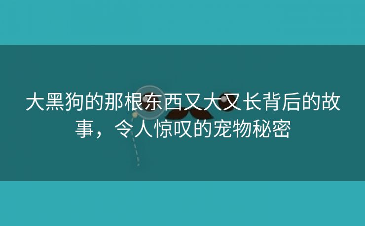 大黑狗的那根东西又大又长背后的故事，令人惊叹的宠物秘密