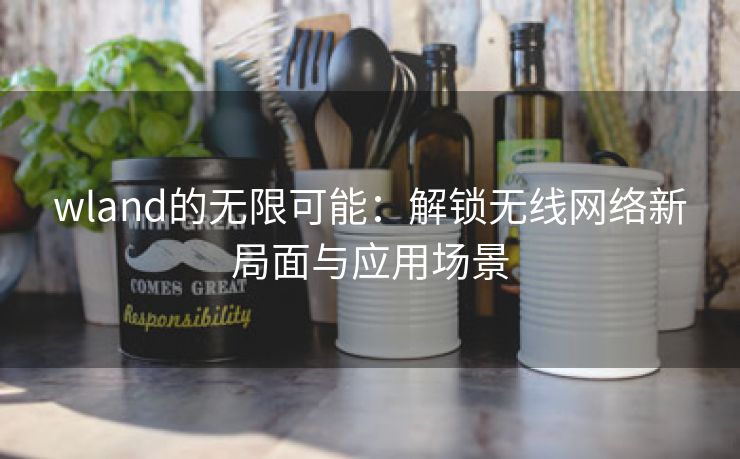 wland的无限可能：解锁无线网络新局面与应用场景