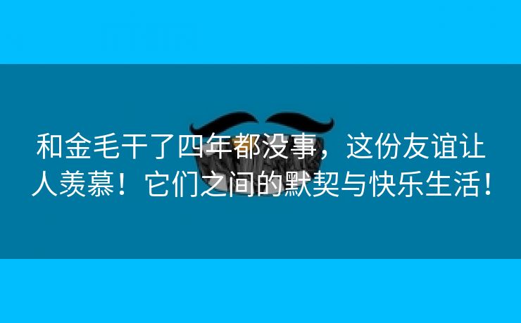 和金毛干了四年都没事，这份友谊让人羡慕！它们之间的默契与快乐生活！