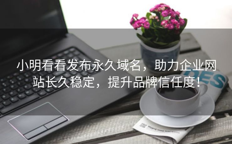 小明看看发布永久域名，助力企业网站长久稳定，提升品牌信任度！