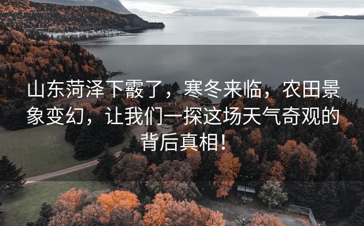 山东菏泽下霰了，寒冬来临，农田景象变幻，让我们一探这场天气奇观的背后真相！
