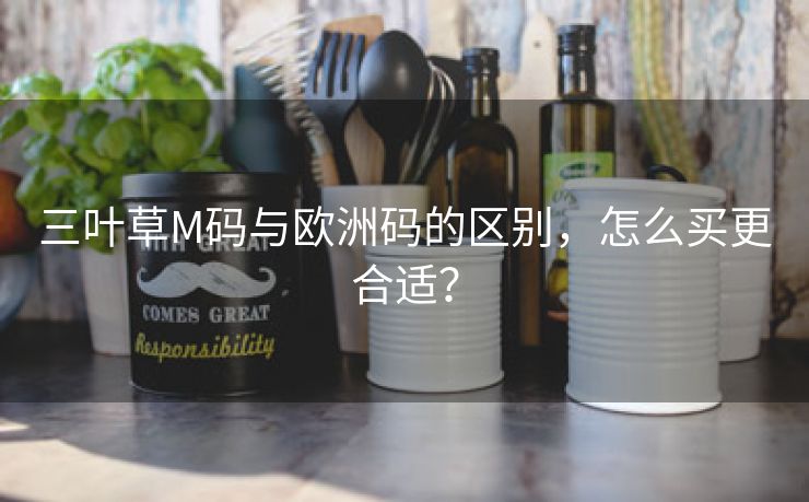三叶草M码与欧洲码的区别，怎么买更合适？