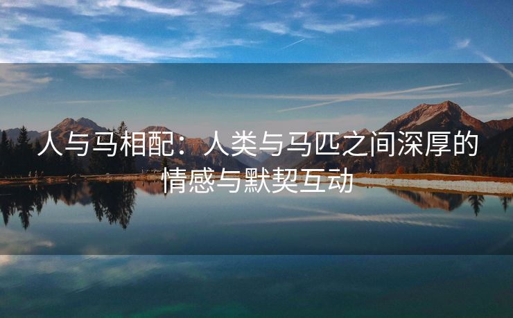 人与马相配：人类与马匹之间深厚的情感与默契互动