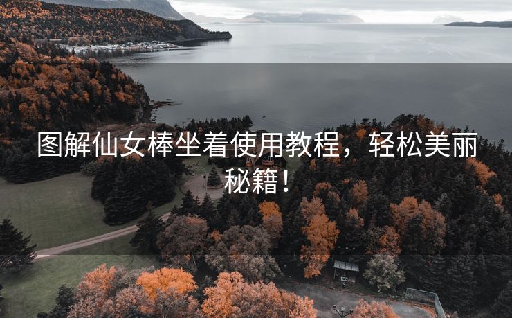 图解仙女棒坐着使用教程，轻松美丽秘籍！