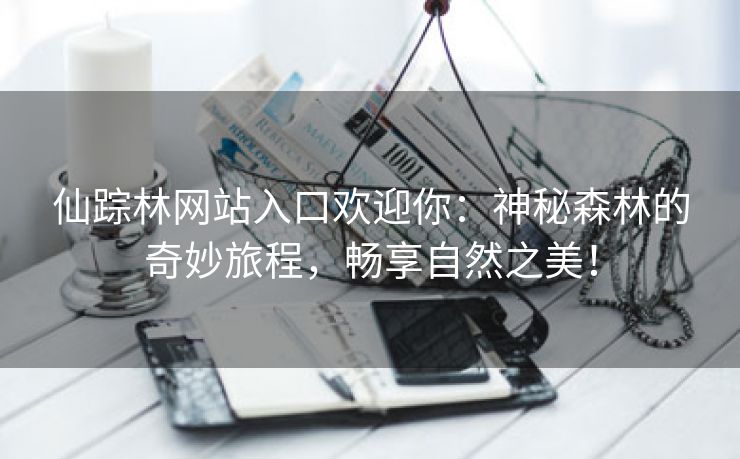 仙踪林网站入口欢迎你：神秘森林的奇妙旅程，畅享自然之美！