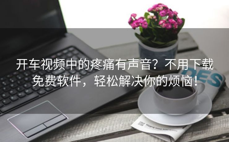 开车视频中的疼痛有声音？不用下载免费软件，轻松解决你的烦恼！
