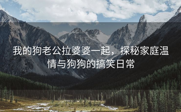 我的狗老公拉婆婆一起，探秘家庭温情与狗狗的搞笑日常