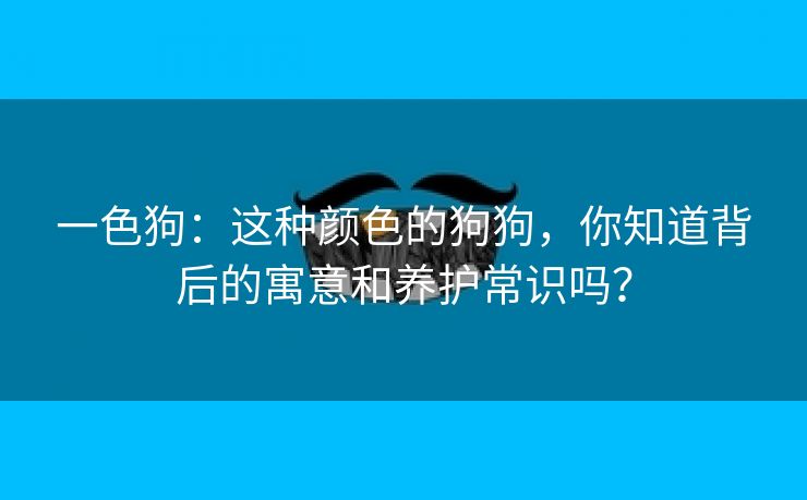 一色狗：这种颜色的狗狗，你知道背后的寓意和养护常识吗？