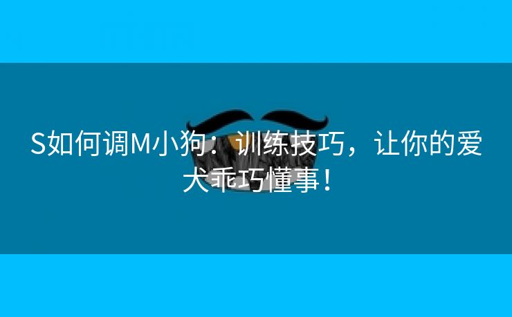 S如何调M小狗：训练技巧，让你的爱犬乖巧懂事！