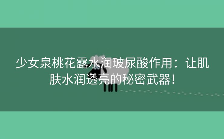 少女泉桃花露水润玻尿酸作用：让肌肤水润透亮的秘密武器！