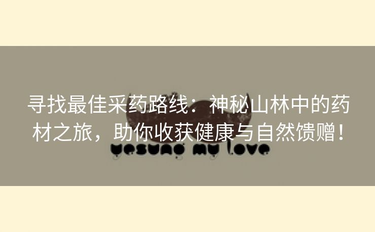 寻找最佳采药路线：神秘山林中的药材之旅，助你收获健康与自然馈赠！