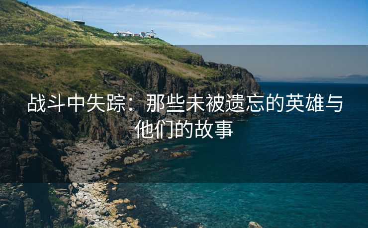 战斗中失踪：那些未被遗忘的英雄与他们的故事