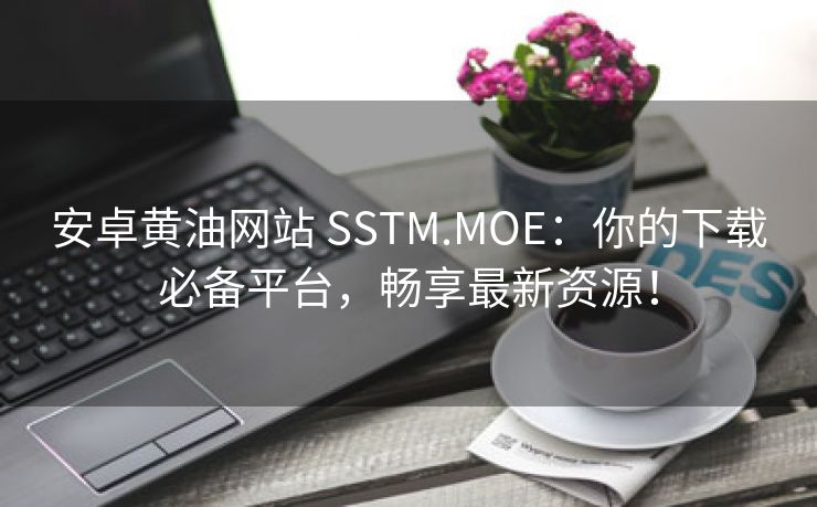 安卓黄油网站 SSTM.MOE：你的下载必备平台，畅享最新资源！