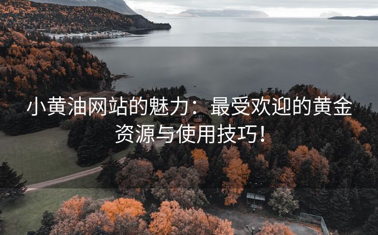 小黄油网站的魅力：最受欢迎的黄金资源与使用技巧！