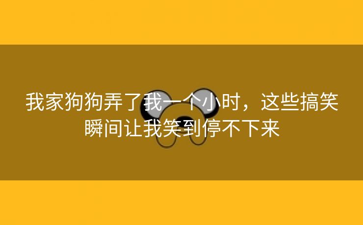 我家狗狗弄了我一个小时，这些搞笑瞬间让我笑到停不下来
