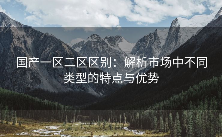 国产一区二区区别：解析市场中不同类型的特点与优势