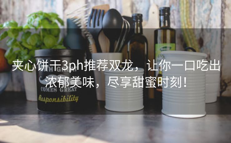 夹心饼干3ph推荐双龙，让你一口吃出浓郁美味，尽享甜蜜时刻！