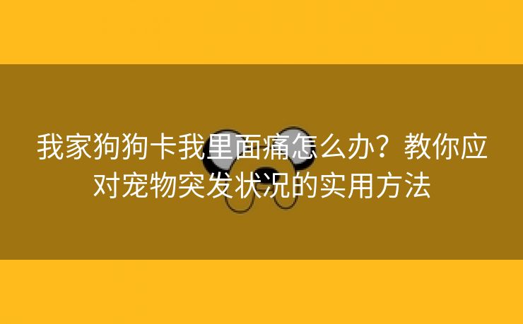 我家狗狗卡我里面痛怎么办？教你应对宠物突发状况的实用方法