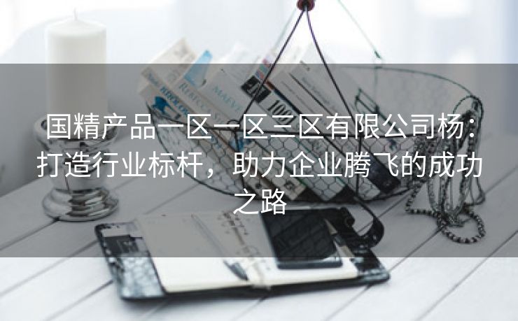 国精产品一区一区三区有限公司杨：打造行业标杆，助力企业腾飞的成功之路