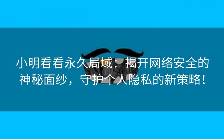 小明看看永久局域：揭开网络安全的神秘面纱，守护个人隐私的新策略！