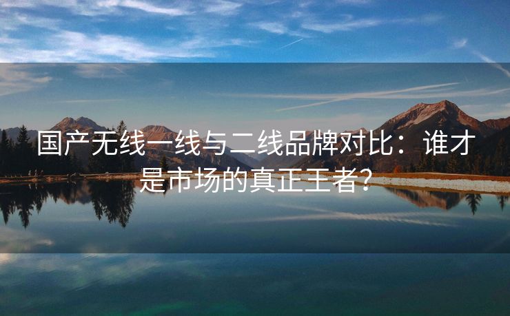 国产无线一线与二线品牌对比：谁才是市场的真正王者？