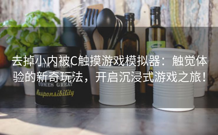 去掉小内被C触摸游戏模拟器：触觉体验的新奇玩法，开启沉浸式游戏之旅！