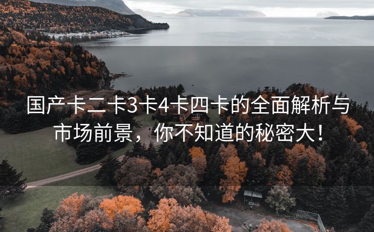 国产卡二卡3卡4卡四卡的全面解析与市场前景，你不知道的秘密大！