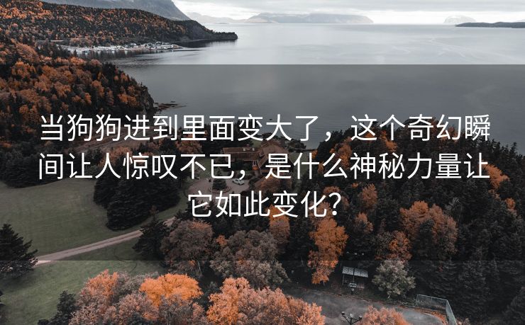 当狗狗进到里面变大了，这个奇幻瞬间让人惊叹不已，是什么神秘力量让它如此变化？