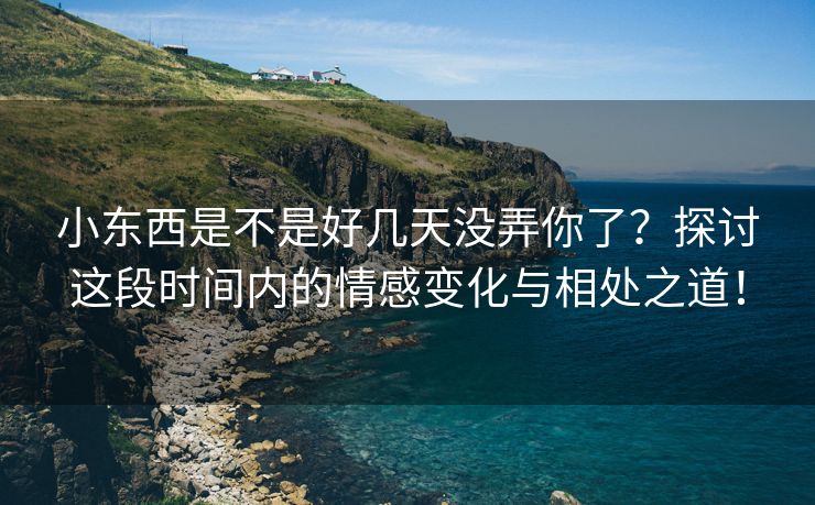 小东西是不是好几天没弄你了？探讨这段时间内的情感变化与相处之道！