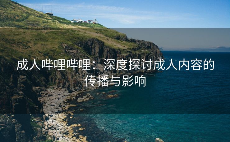 成人哔哩哔哩：深度探讨成人内容的传播与影响