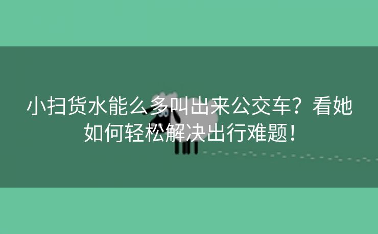小扫货水能么多叫出来公交车？看她如何轻松解决出行难题！