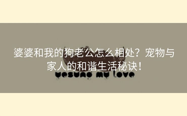 婆婆和我的狗老公怎么相处？宠物与家人的和谐生活秘诀！