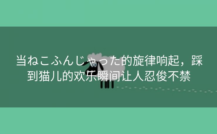 当ねこふんじゃった的旋律响起，踩到猫儿的欢乐瞬间让人忍俊不禁