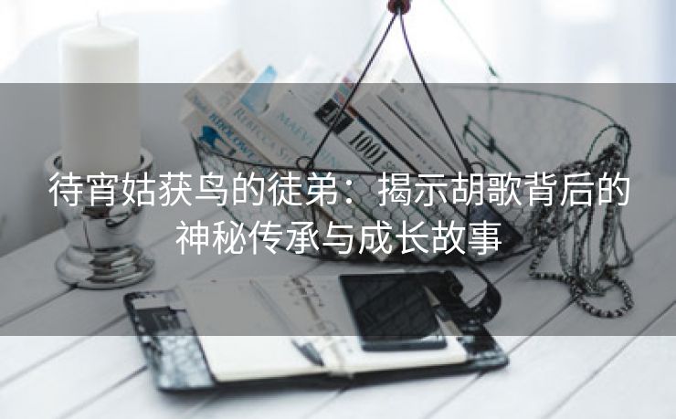 待宵姑获鸟的徒弟：揭示胡歌背后的神秘传承与成长故事