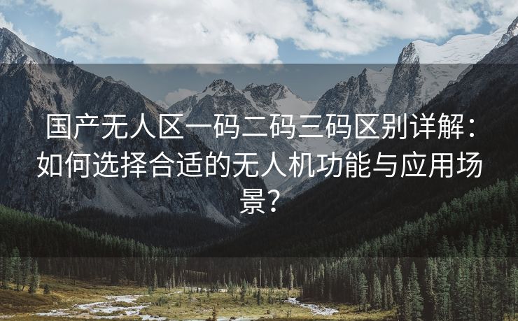 国产无人区一码二码三码区别详解：如何选择合适的无人机功能与应用场景？